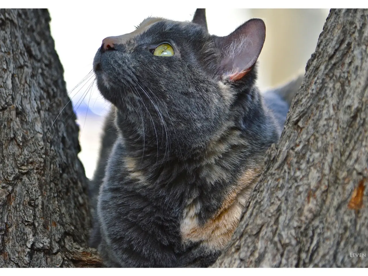 Previsioni per Catamarca del 4 settembre 2025: Quale sarà il tempo previsto?