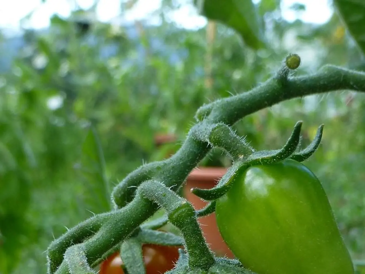 Sistemi di produzione di cibo destinati a Marte sono in procinto di rivoluzionare il panorama...