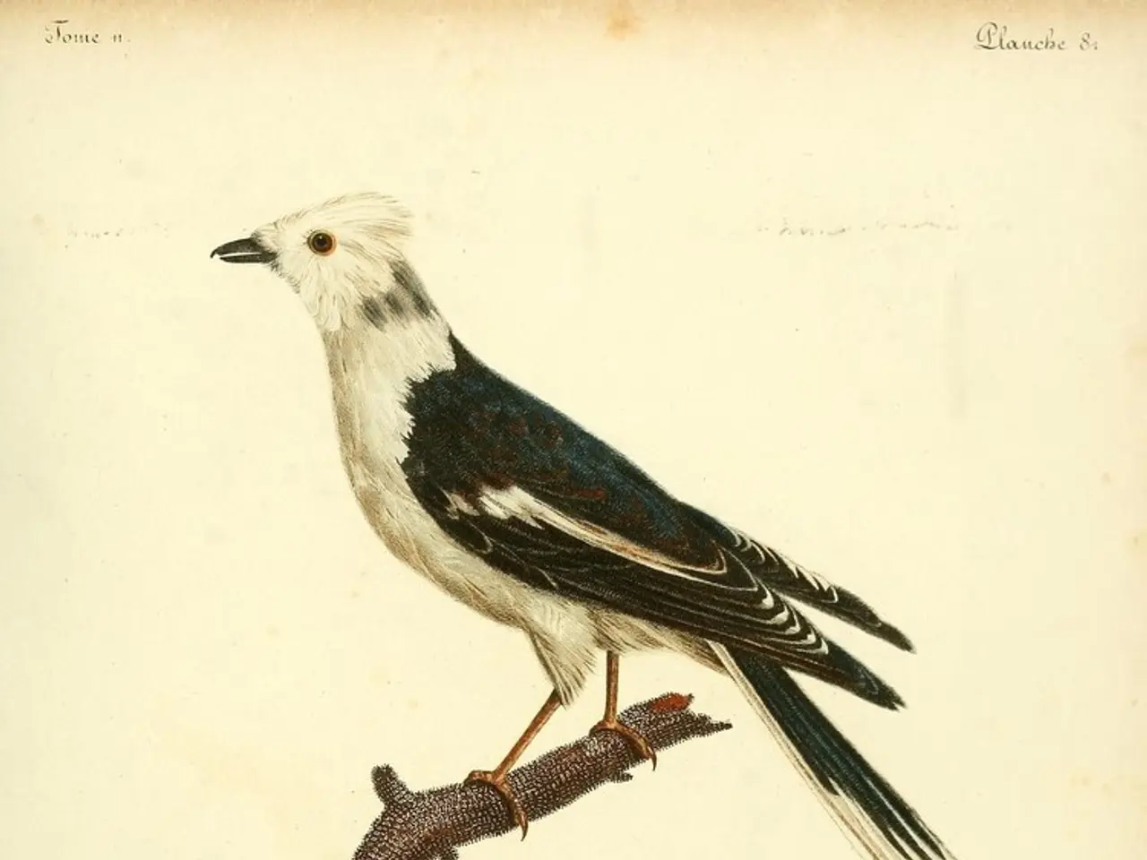 Lottare per salari equi e giusti e per benefici previdenziali equi per tutti i residenti di New...