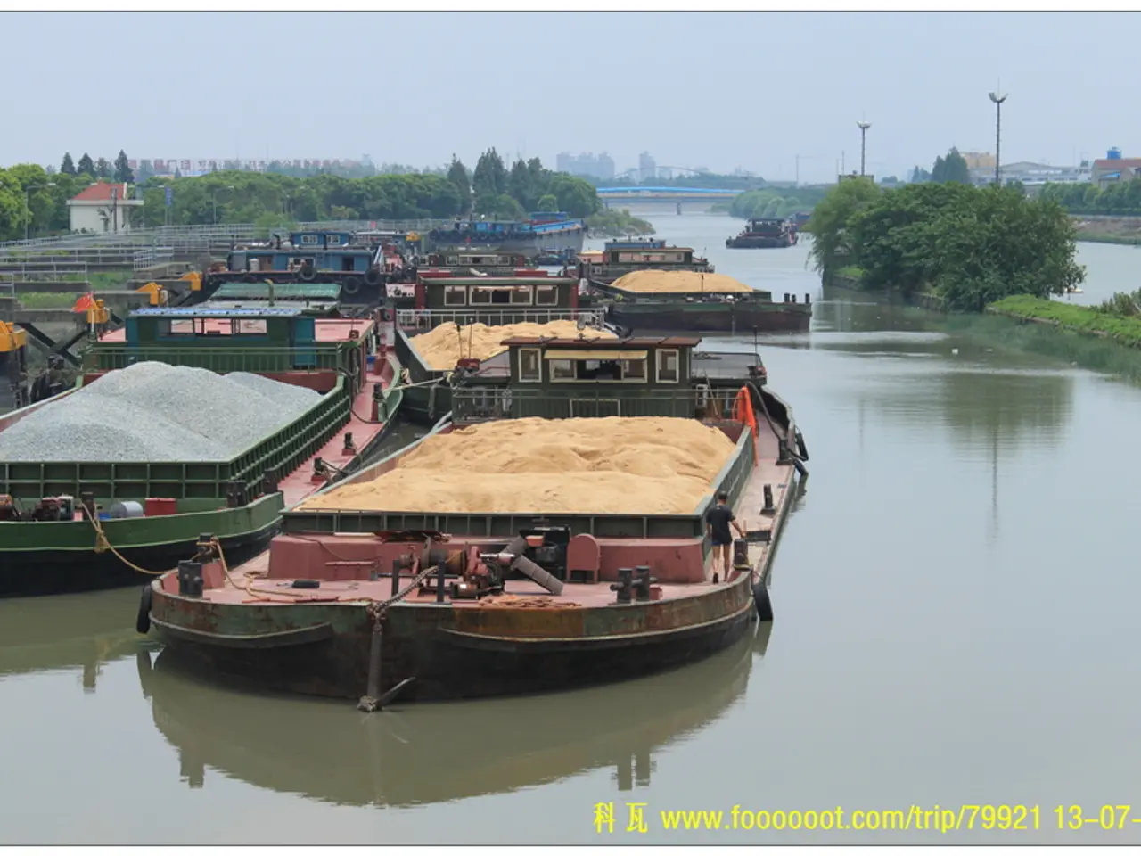 Provare sapori oceanici attraverso l'introduzione della Casa del Granchio di Pragmatic Play