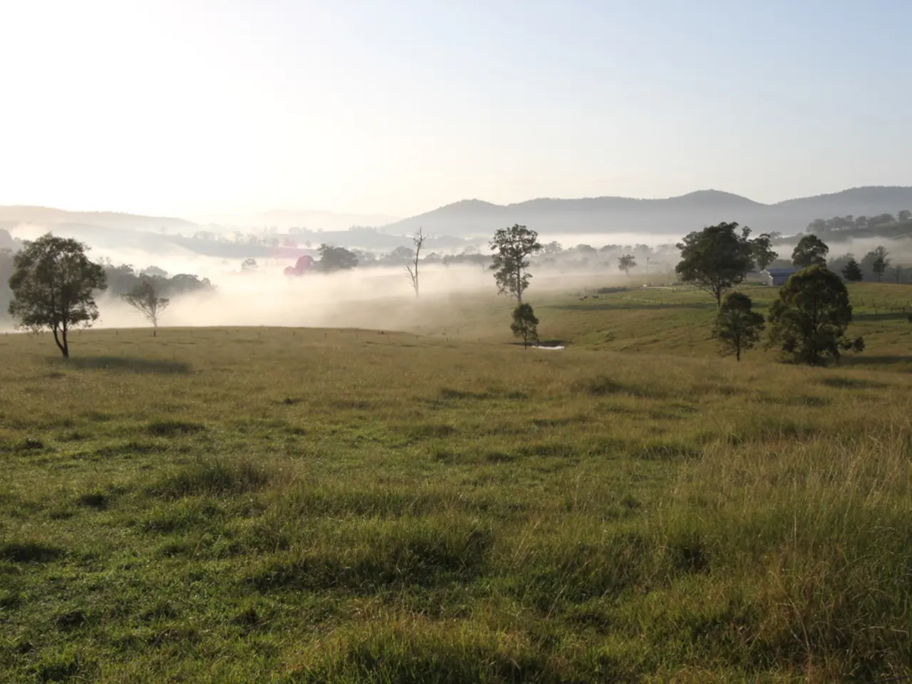 Istruzioni per la posa del tessuto per paesaggi vicino a piante stabilite e arbusti