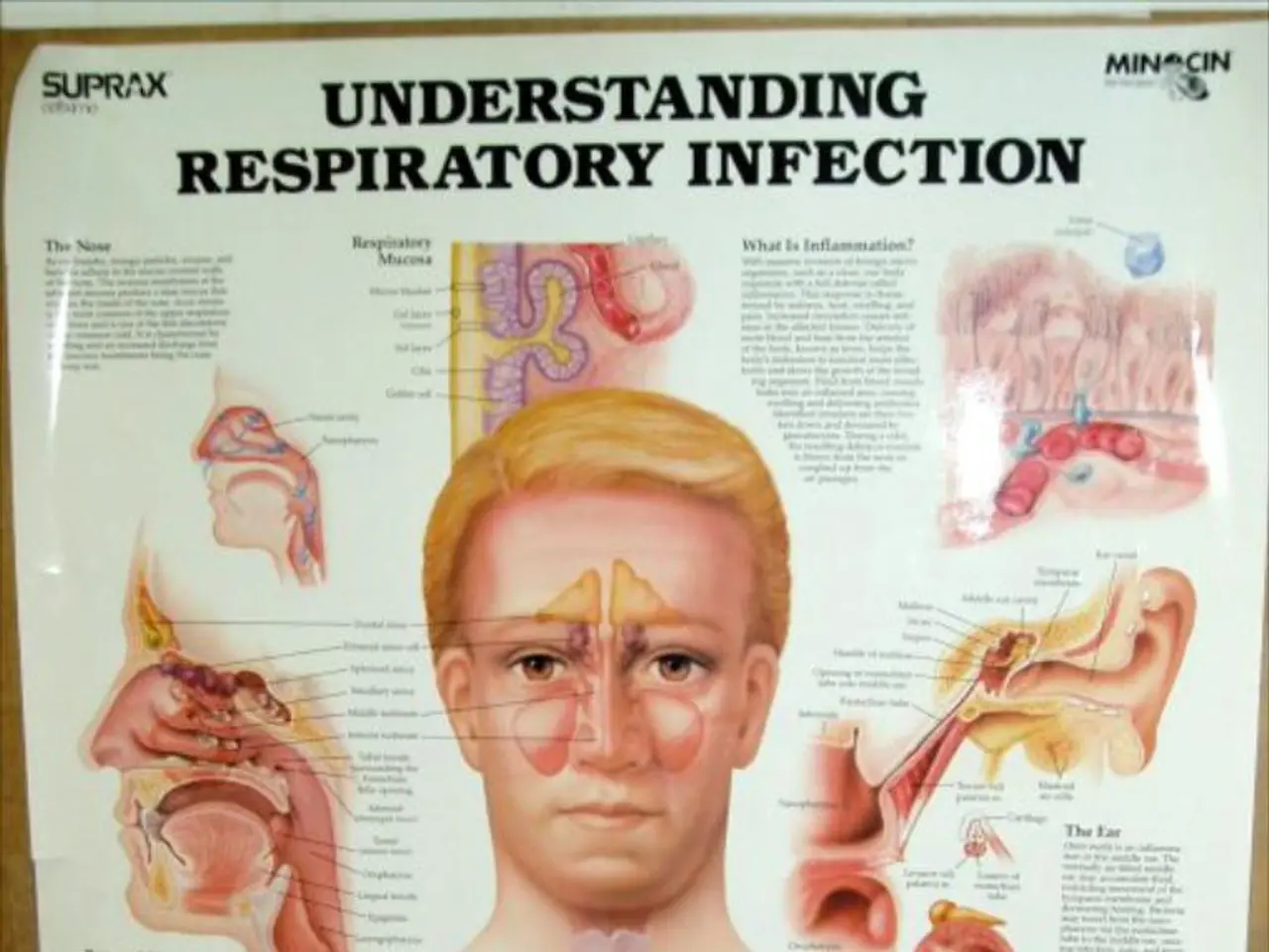 Padroneggiare l'arte di decifrare i segnali non verbali negli scambi