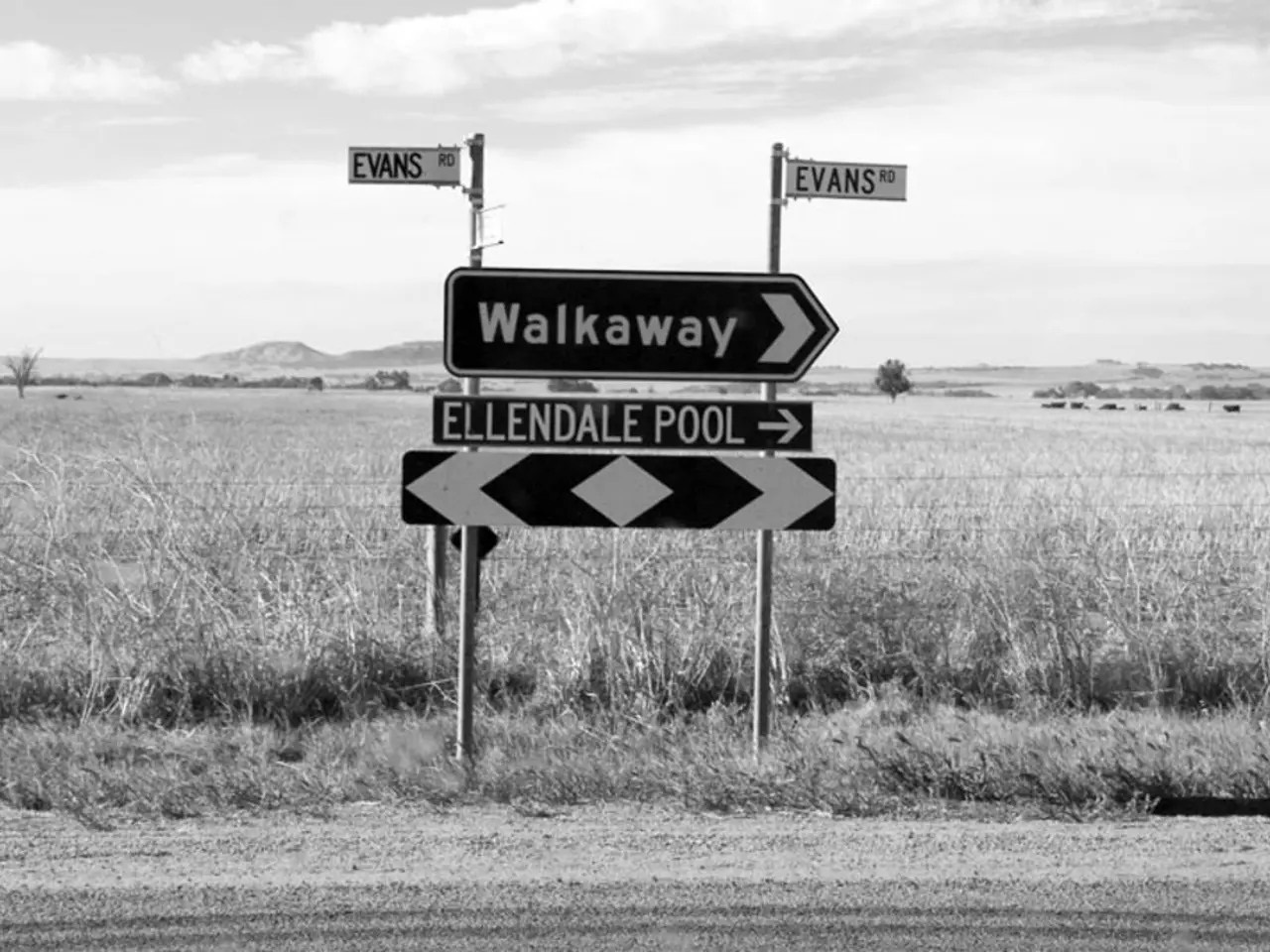 Tecnica di Rilevamento a Radio Direzionale