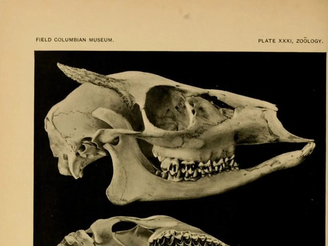 Chierici in Norvegia esprimono preoccupazione per l'aumento dell'accettazione della morte ristretta