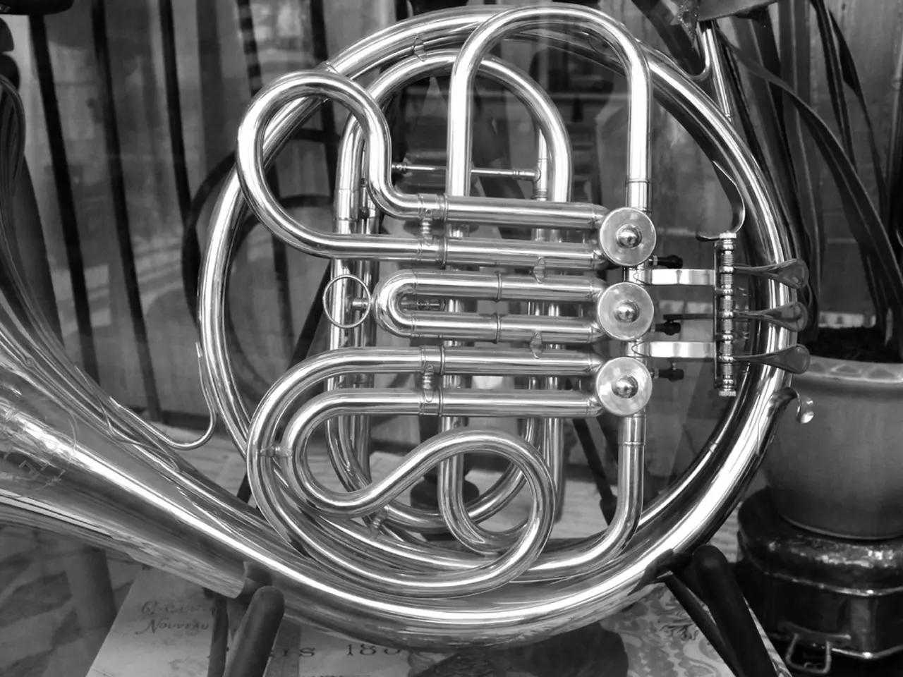 Indagando il potenziale impatto della musica classica sulla crescita delle piante