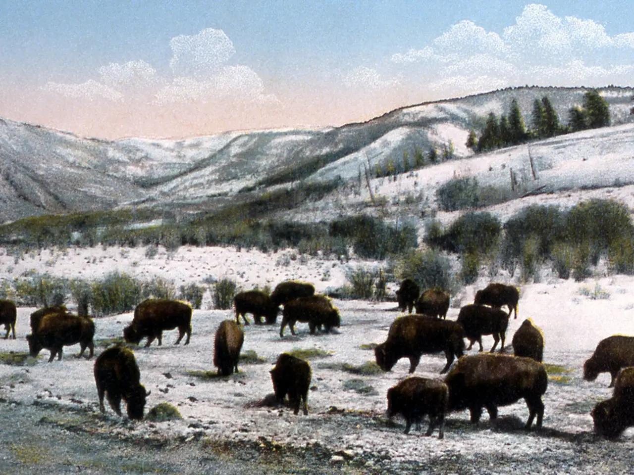 Artisti in Colorado esibiscono la natura all'interno della mostra Loveland