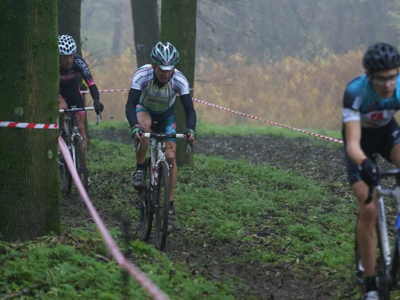 Tagliaerba a Batteria