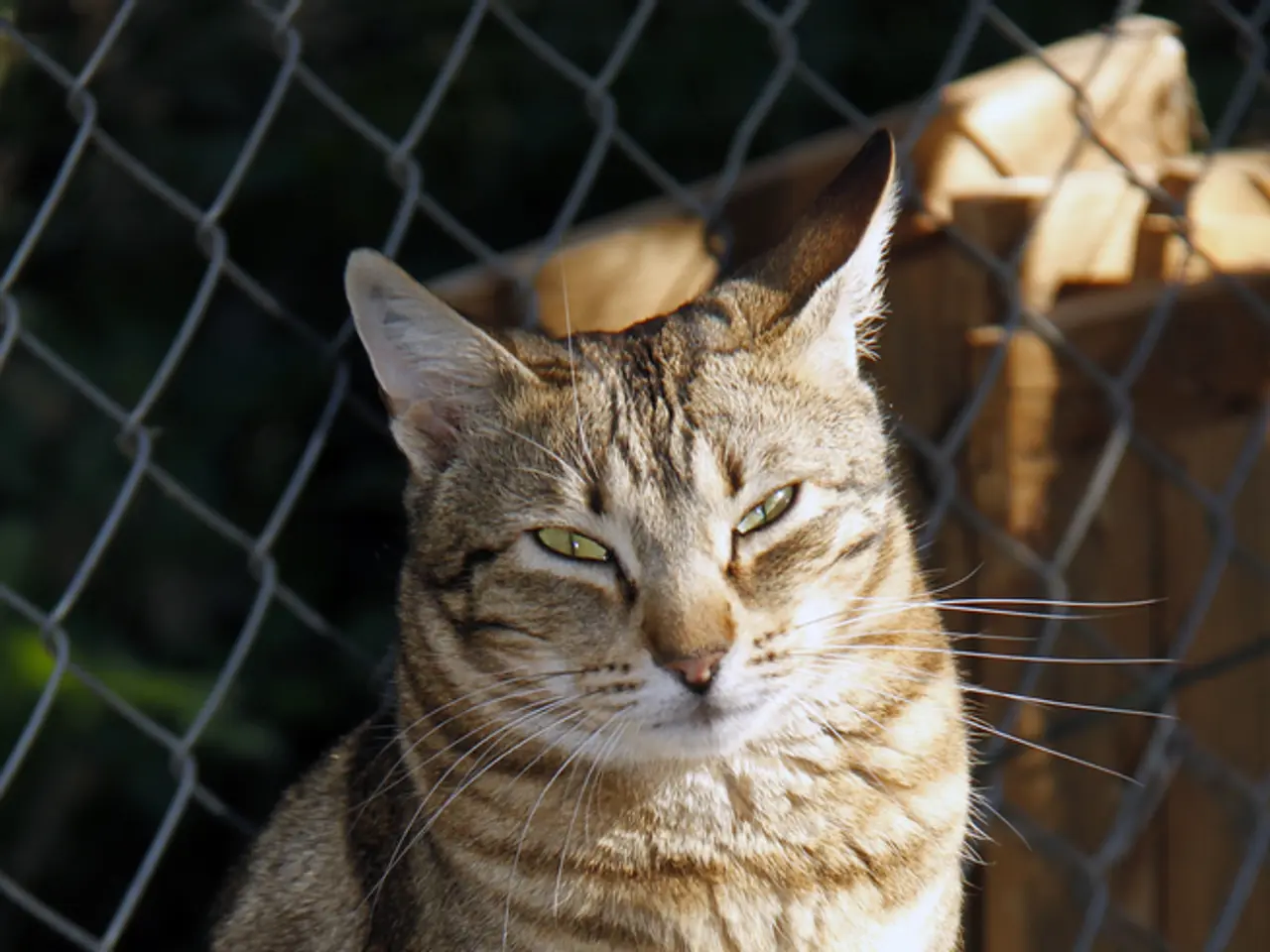 Josef Oster sottolinea l'importante funzione del rifugio che gestisce.