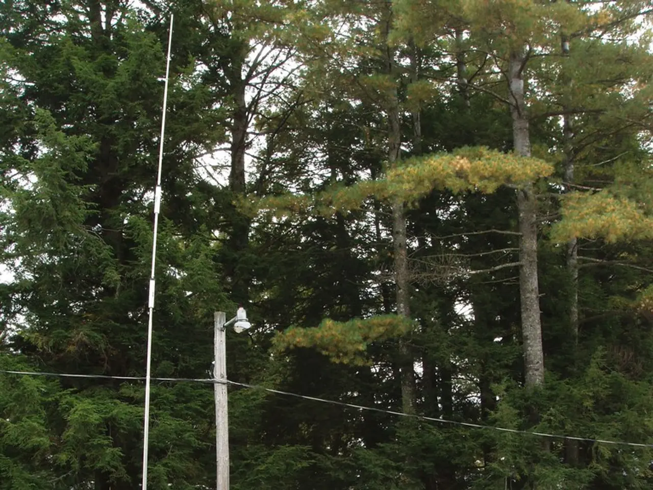 Esplorare il Vasto Mondo dei Tende per Roulotte