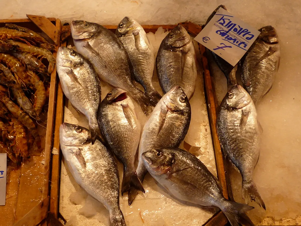 Ricercatori Meravigliati per la Scoperta di 60 Milioni di Nidi di Pesci Inusuali con...