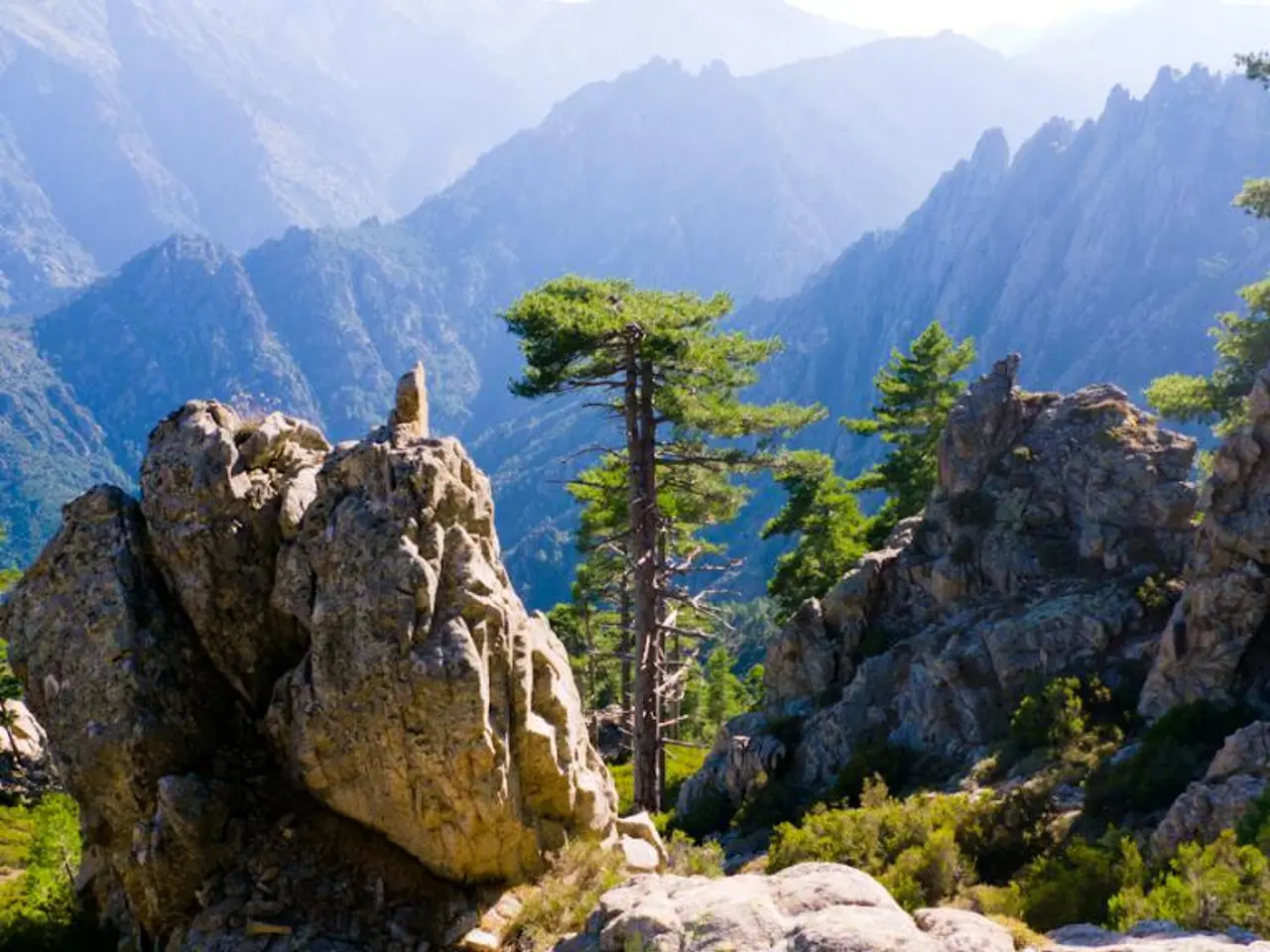 Domande da Riflettere per Avventure all'aperto che Accendono la Meraviglia