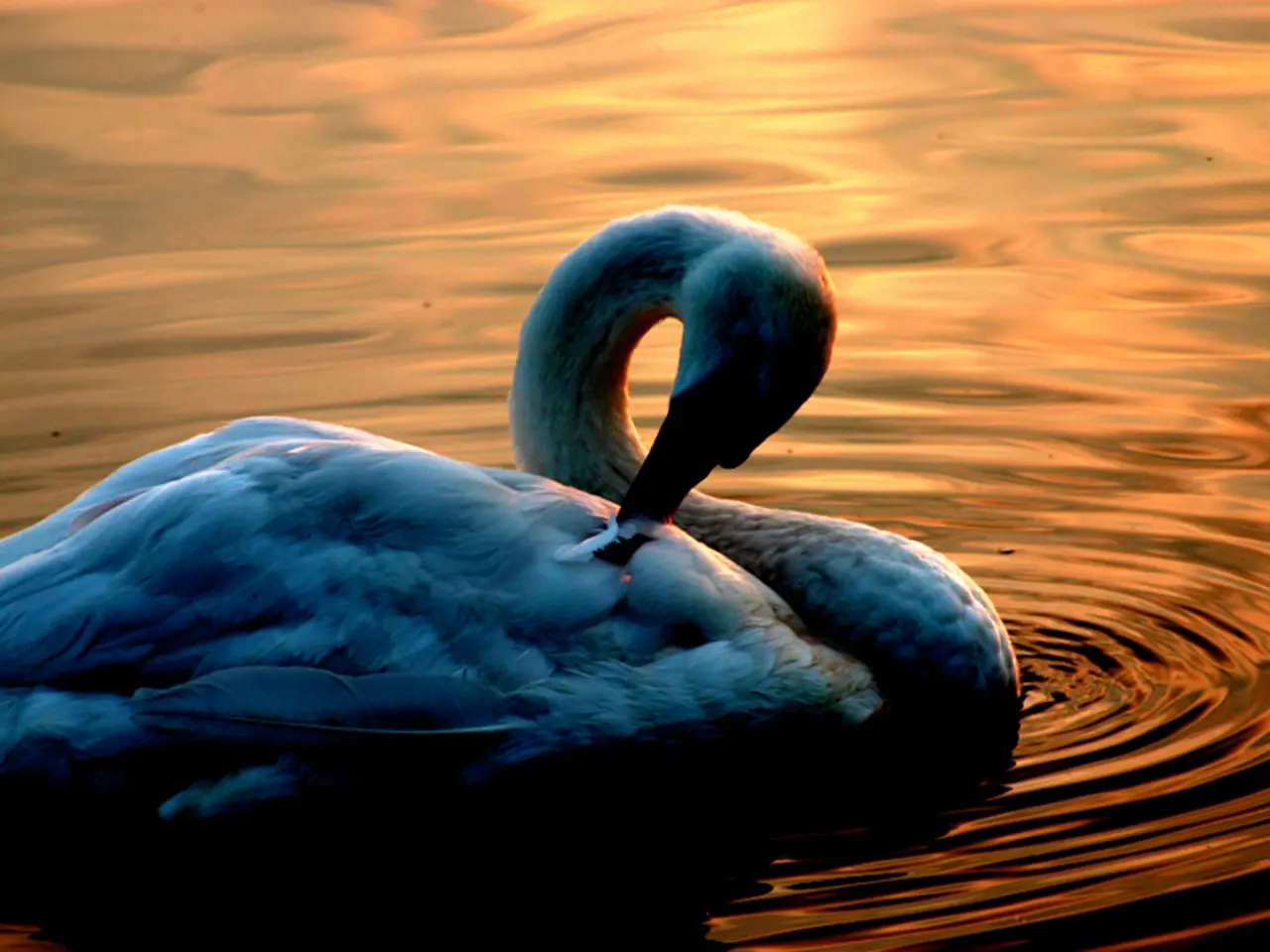 Esplorazione di Metodologie Imaginative e Inspirate dalla Natura per Cogliere i Fundamentali della...