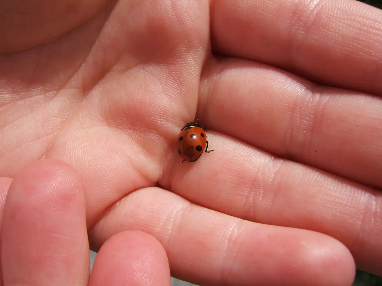 Evidenziando il Ruolo Essenziale del Riconoscimento Tempestivo nella Gestione del Sindrome del...