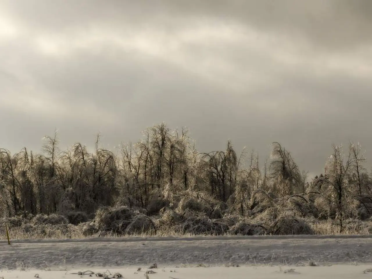 Glossario degli Oggetti Astronomici: Albedo - Descrizione e Analisi Completa
