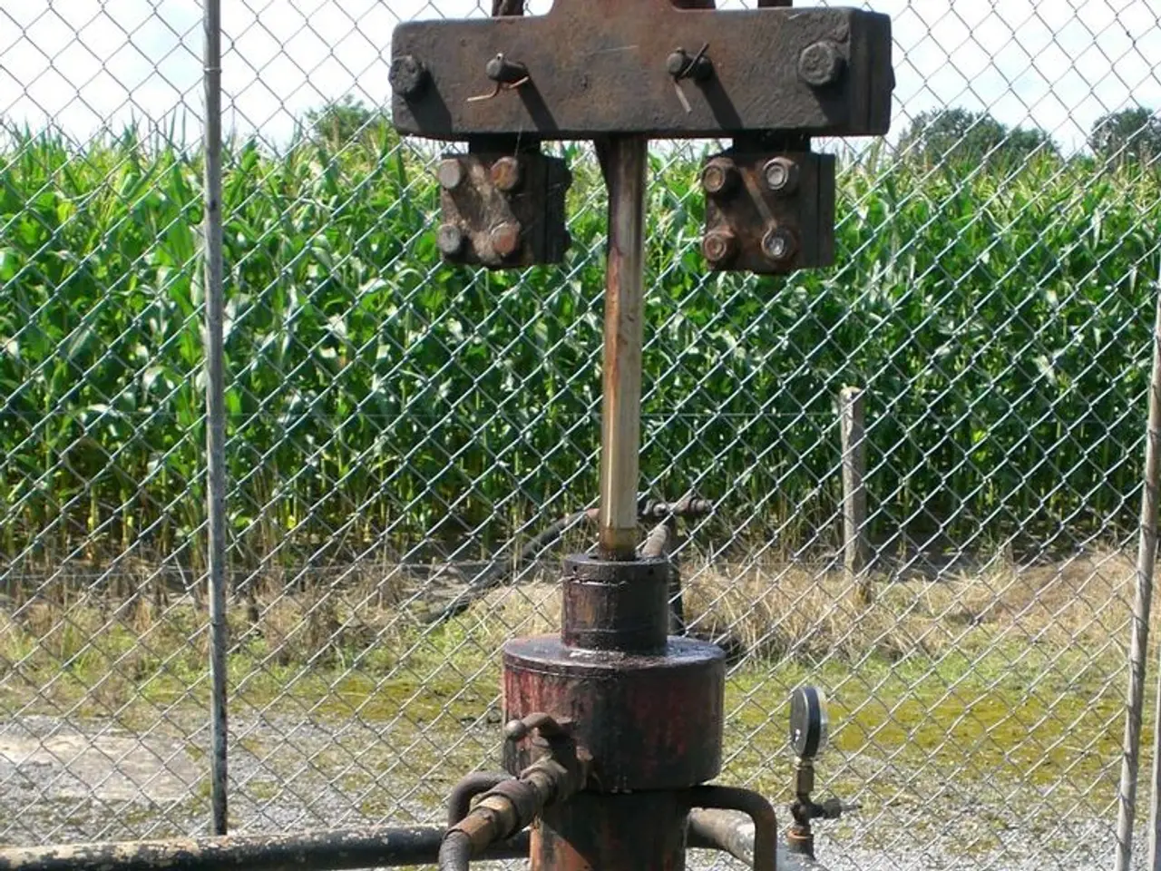 Macchina esce dalla fabbrica ogni 3 secondi