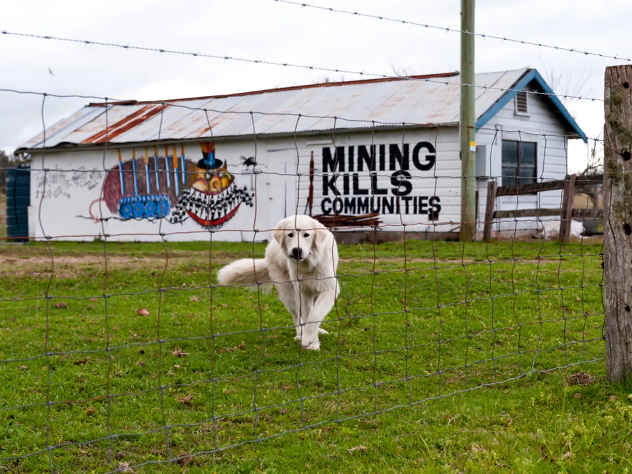 Il terreno del vicino viene utilizzato dal proprietario per costruire una casetta sul retro