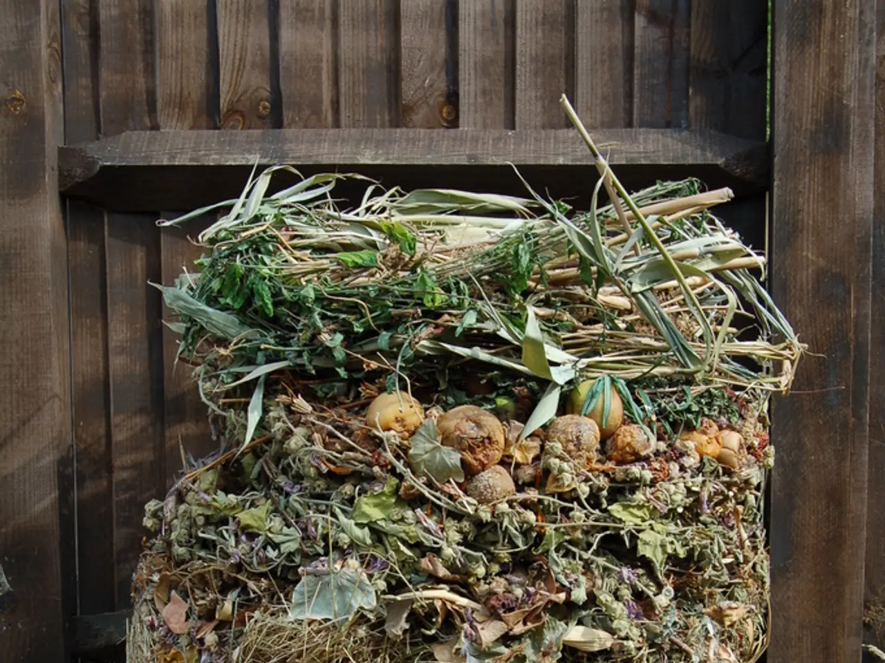 Alan Titchmarsh dichiara di credere di aver trovato la soluzione per il compost torba-free.