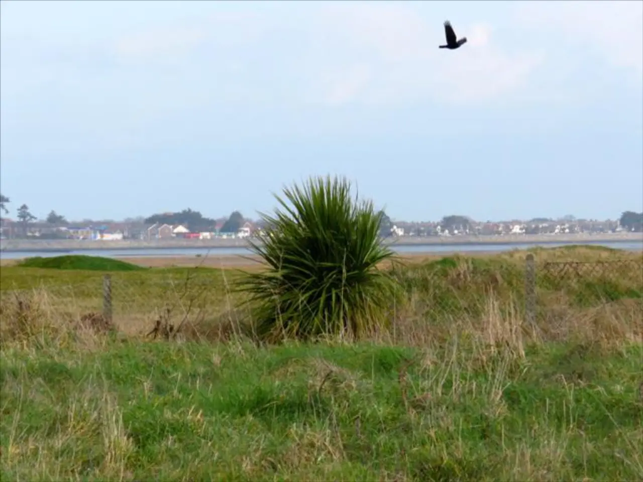 Pattuglie migratrici di uccelli autunnali: motivi dietro al viaggio verso sud stagionale e specie...