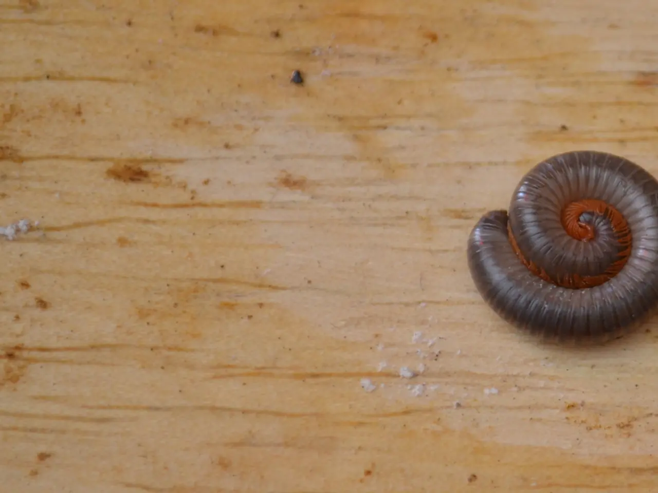 Esperienze Trasformative: Racconti di Individui che Hanno Sottoposto ad Alterazioni della Statura