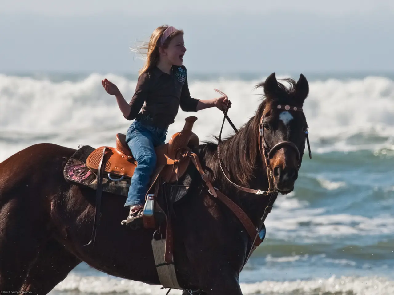 Turmuluo emotivo della famiglia mentre vendono la figlia Sea The Stars da €750,000, lasciando...