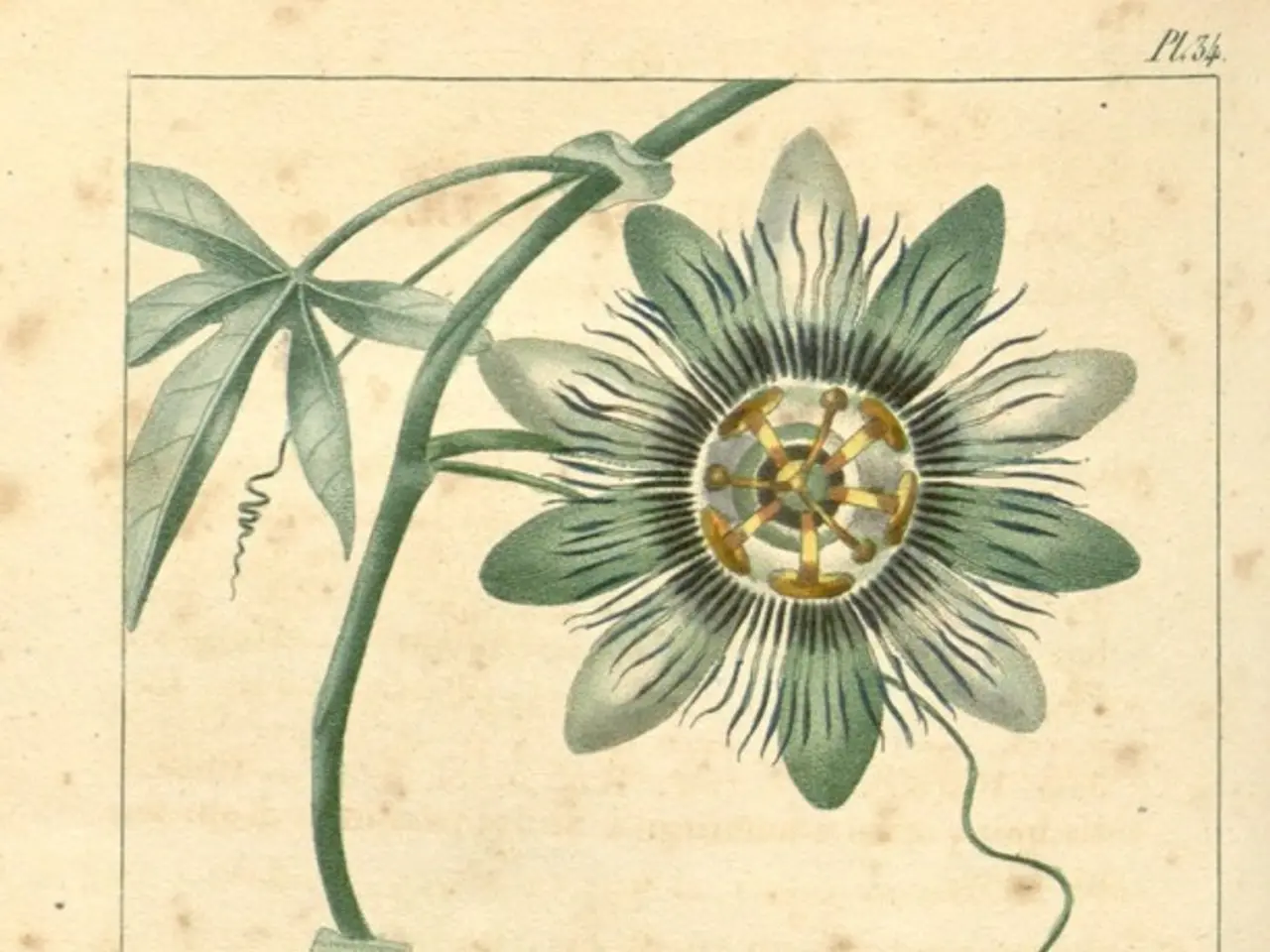 Materiale Genetico Isolato