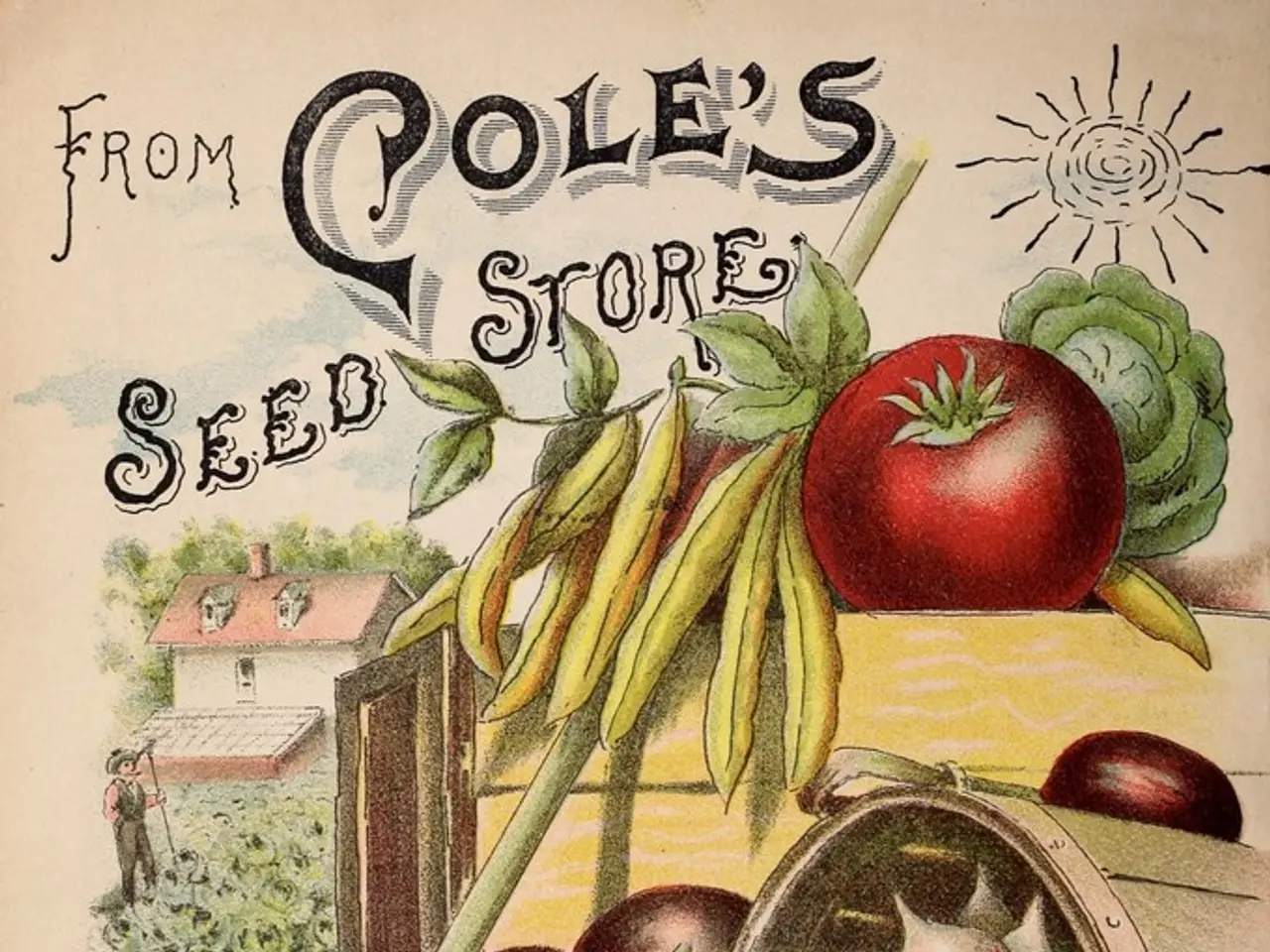 Permacultura Transitoria: Concetti Innovativi per Spazi Temporanei