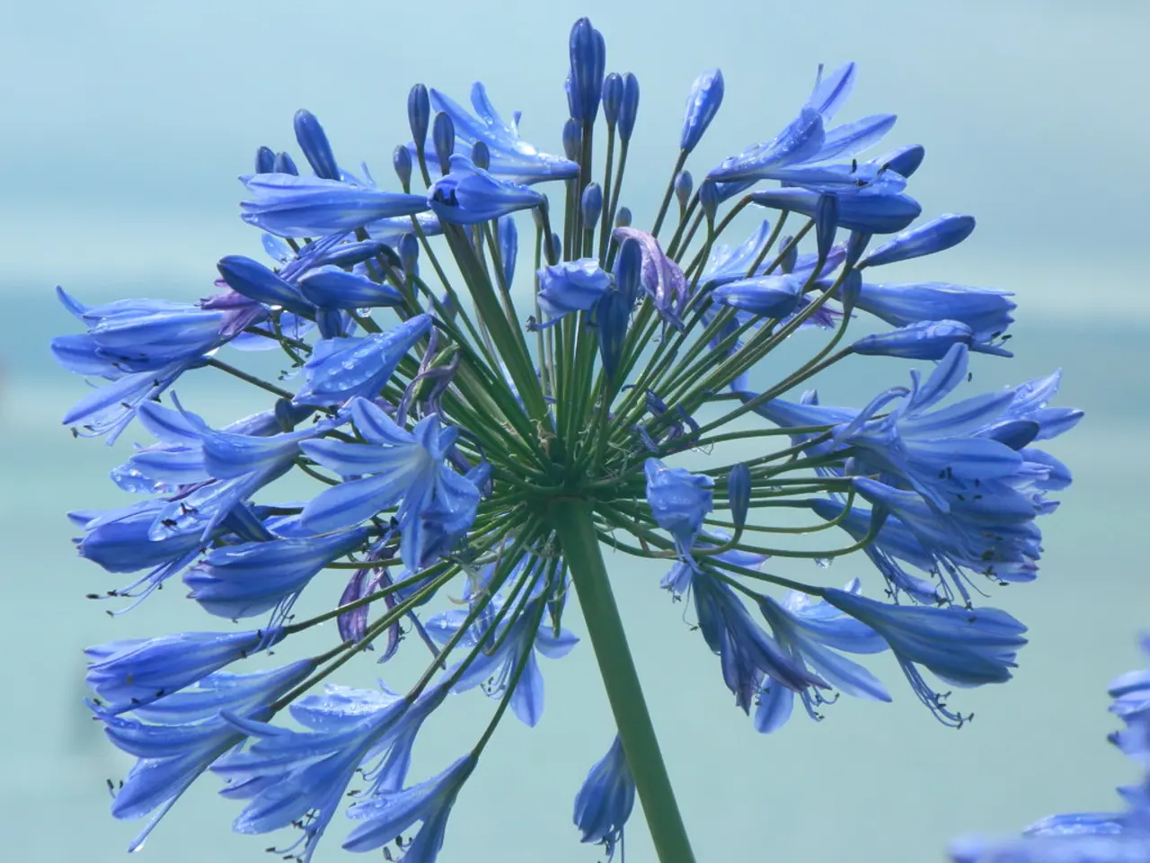 La separazione di Katy Perry e Orlando Bloom discussa da Orlando: Esprime Gratitudine