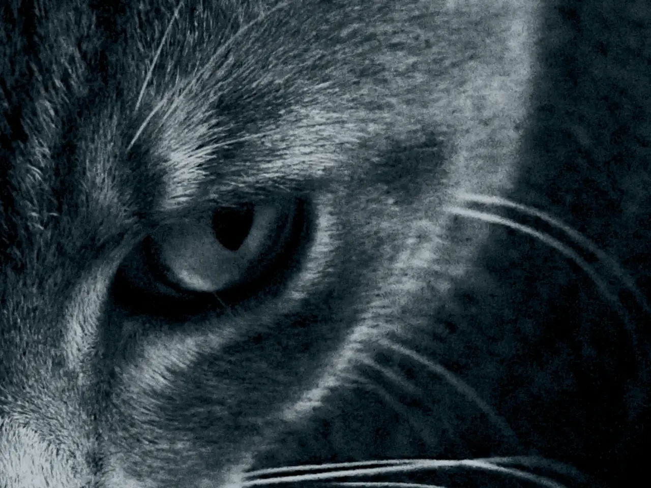 Dispositivi di Terapia Visiva in Sviluppo