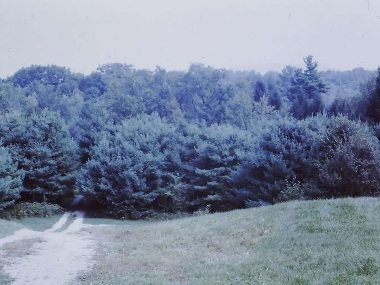 Vita Urbana Modernizzata Grazie a Metodi di Agricoltura Urbana All'avanguardia e Tecnologia...