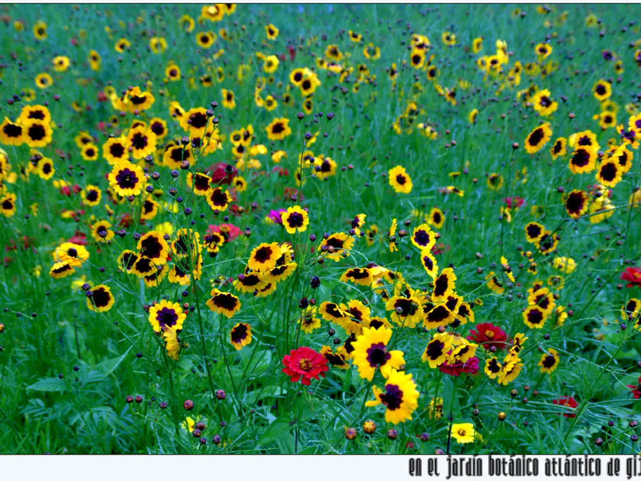 Presentazione storica della prima foto del Sistema Solare, catturata da Voyager, dimostrata alla...