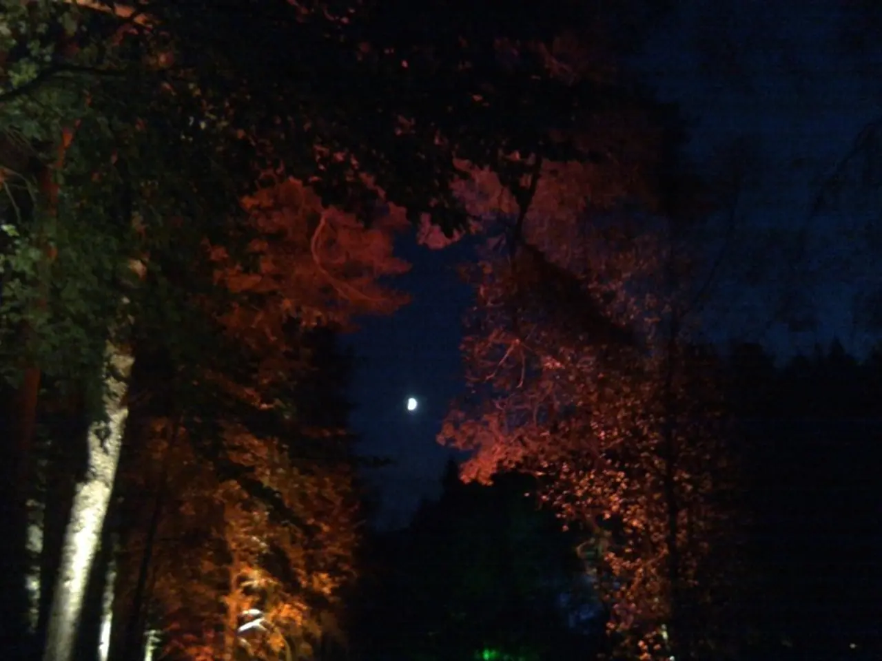 La Luna Rossa e l'eclissi lunare durante la Luna del Mais balleranno con Saturno nel cielo serale...