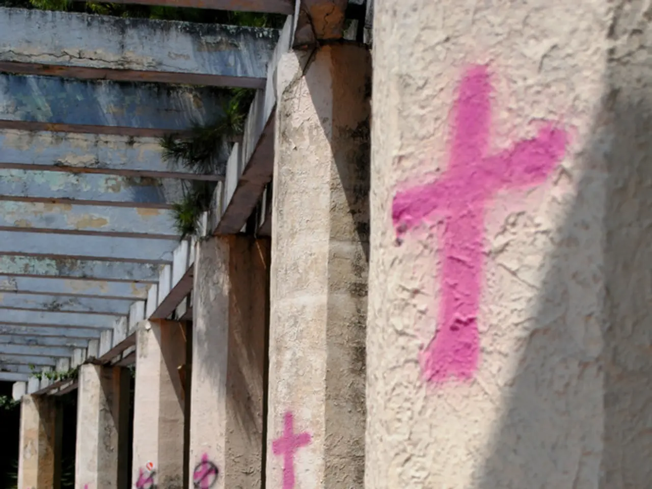 I media mancano di imparzialità e i cristiani non dovrebbero ignora-re la più ampia discussione...