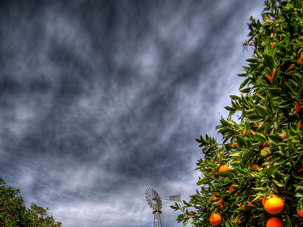 Rivelazione della Corona del Tuono: Riepilogo