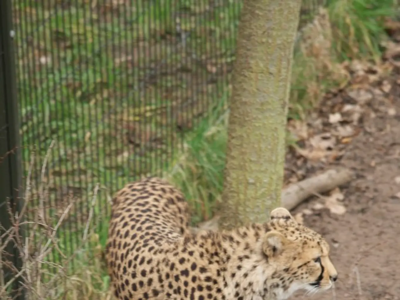 Agenzie pronte ad agire rapidamente sui tagli di personale dopo eventuali modifiche della sentenza...