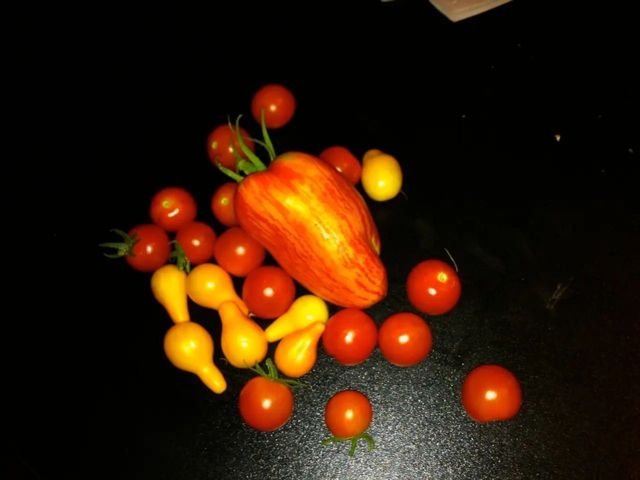 Debate sulla Superiorità Nutrizionale: Frutta Fresca o Frutta Secca?