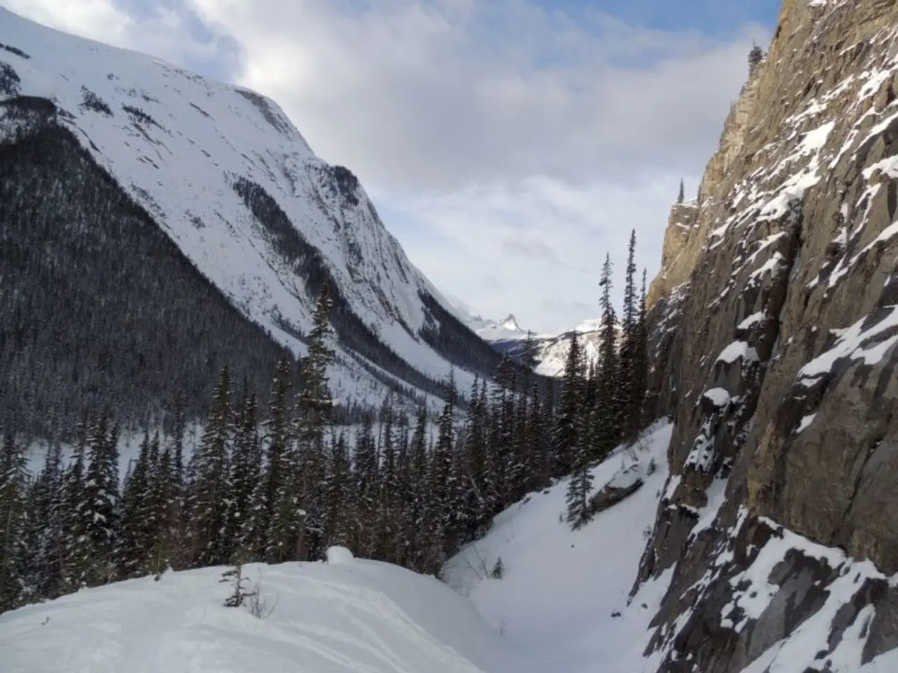 Aurora Boreale prevista per 15 stati sabato, antecedente l'evento 'Luna di Sangue' atteso