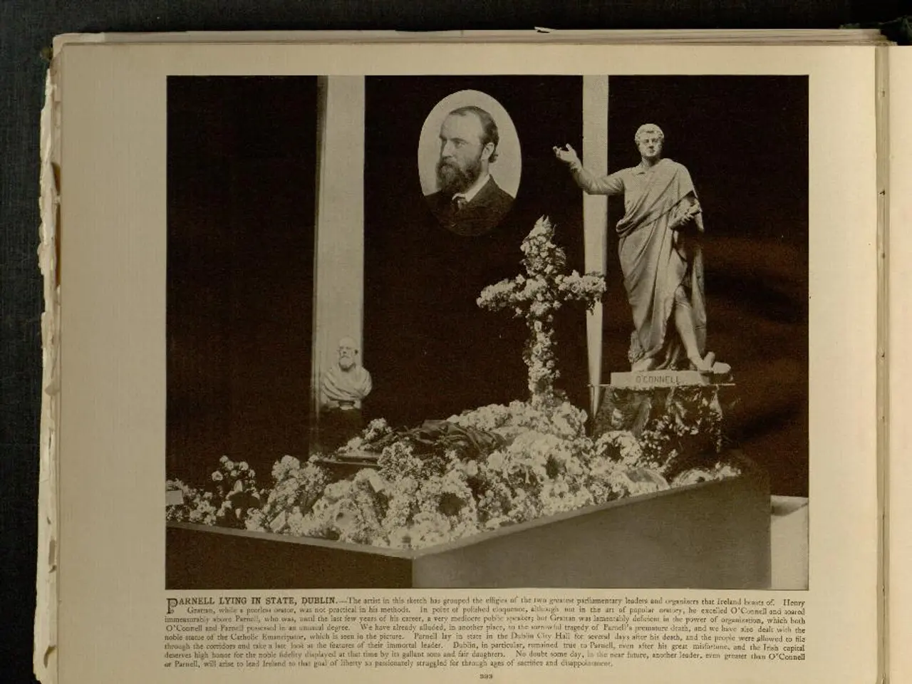 Offerta DVD per Esplorazioni Emozionanti