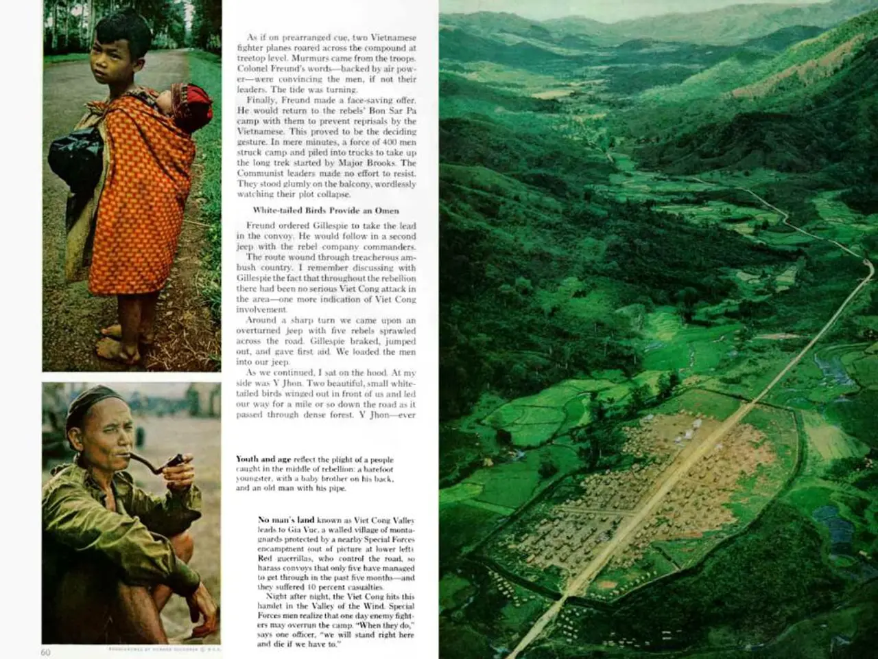 Guida per identificare i Wikipedia articoli scritti dall'IA rilasciata dagli editori