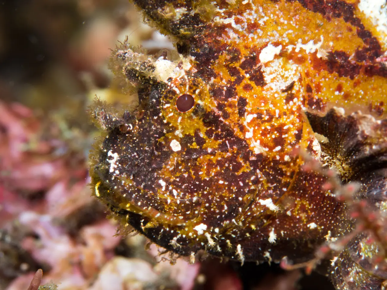 Assapora un preludio al cooperativo Borderlands 4 con il gioco action RPG Abyssus, che presenta i...