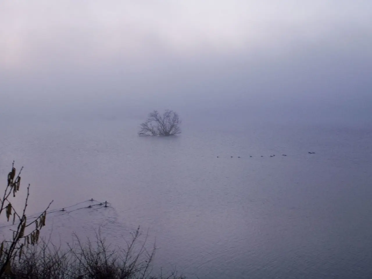 Ruolo cruciale del Quebec per l'umidex