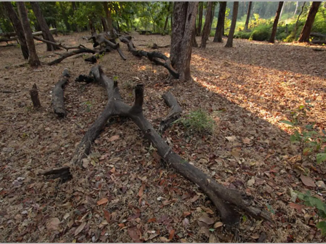 Progetto di Riconquista: Jorge Penadés e Seetal Solanki reinterpretano il valore delle radici di...
