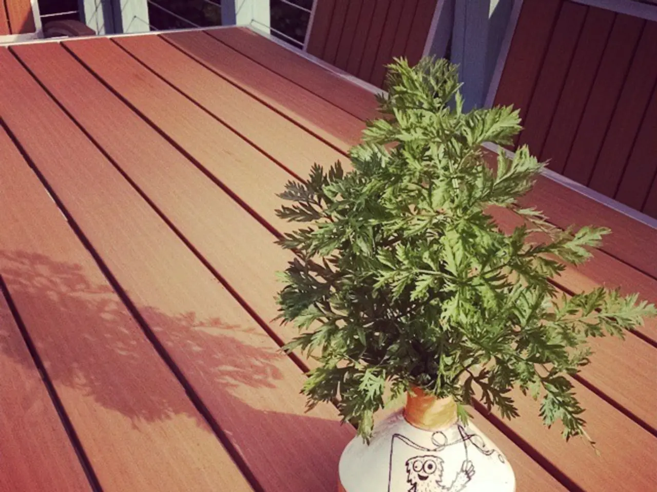 Fan di piante in casa esultano! Six specie rare di piante sono previste per essere i collezionisti...