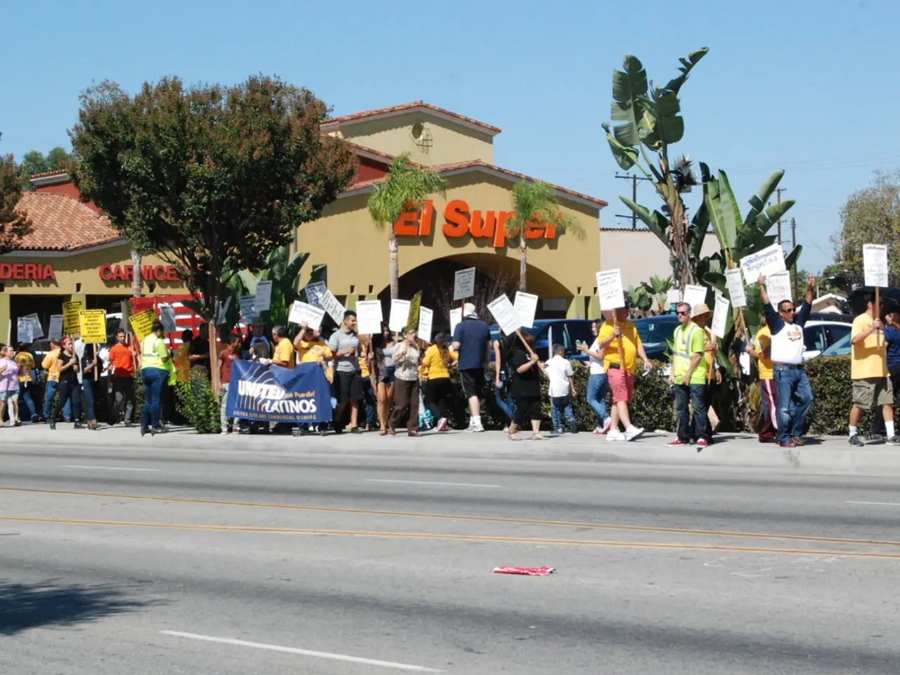 Connessione di Twitter e Turchia Durante la Festa del Ringraziamento