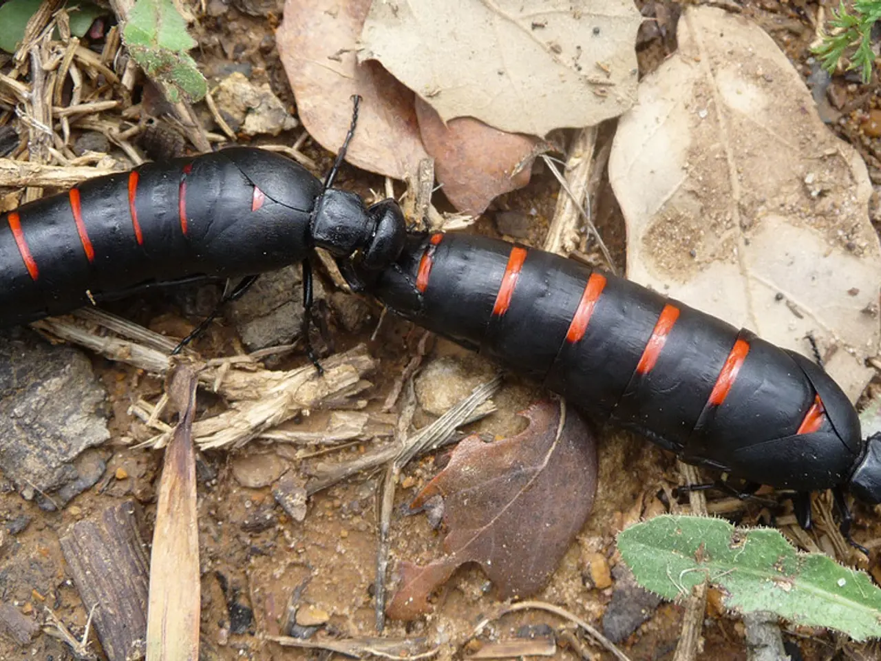 Comprendere la Pelle Secca: Le Basi e le Caratteristiche