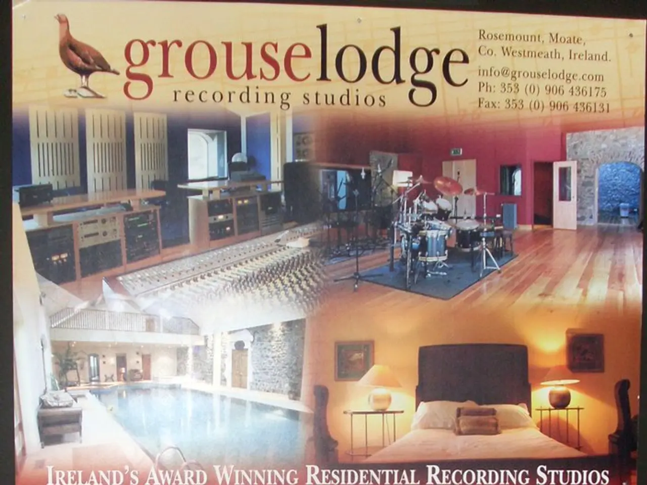 Migliori mangiatoie per colibrì garantite per attirare i colibrì nel tuo giardino