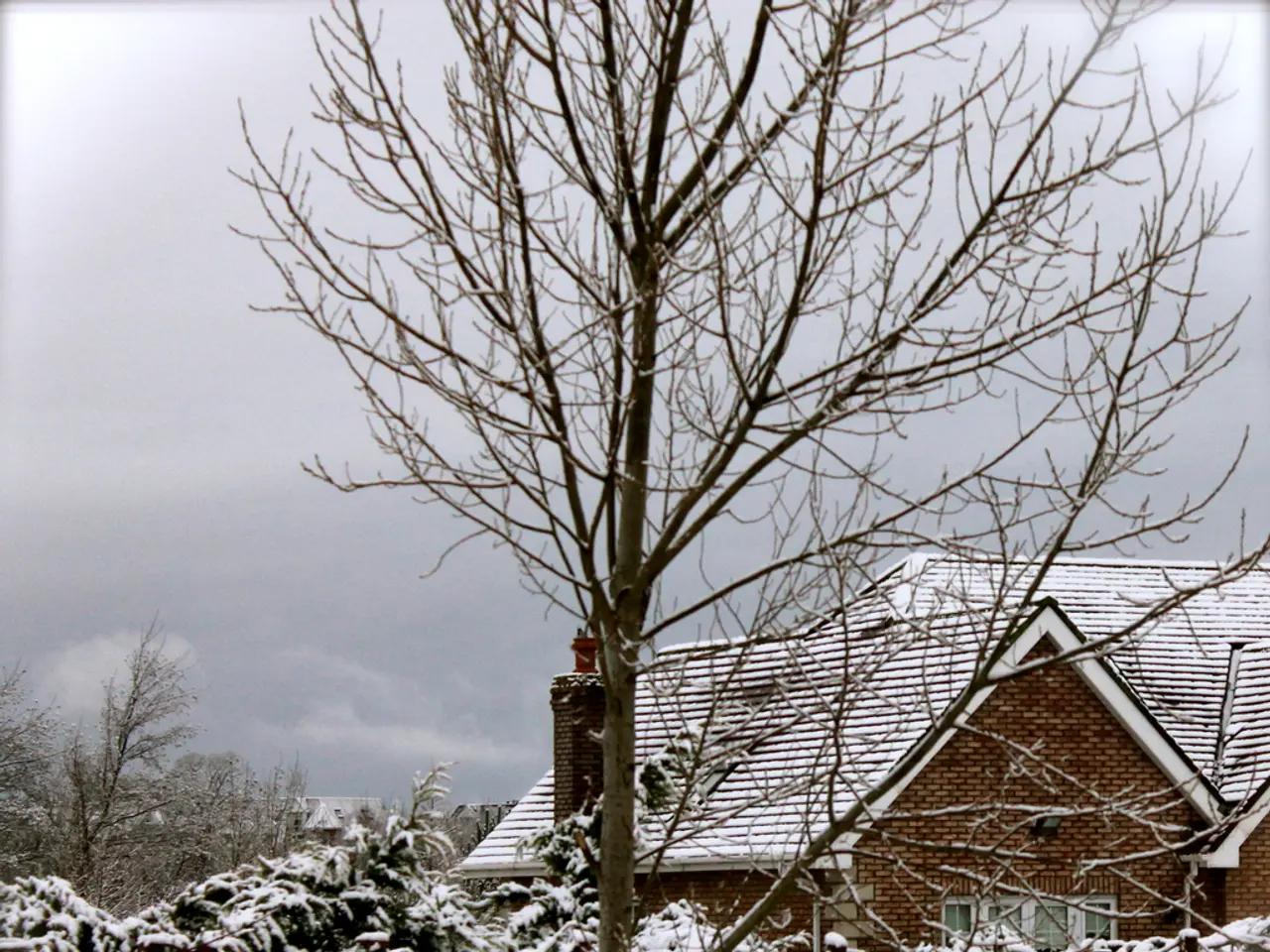 Prepararsi per l'inverno rimanente: assicurati che la tua casa e il tuo giardino siano pronti prima...