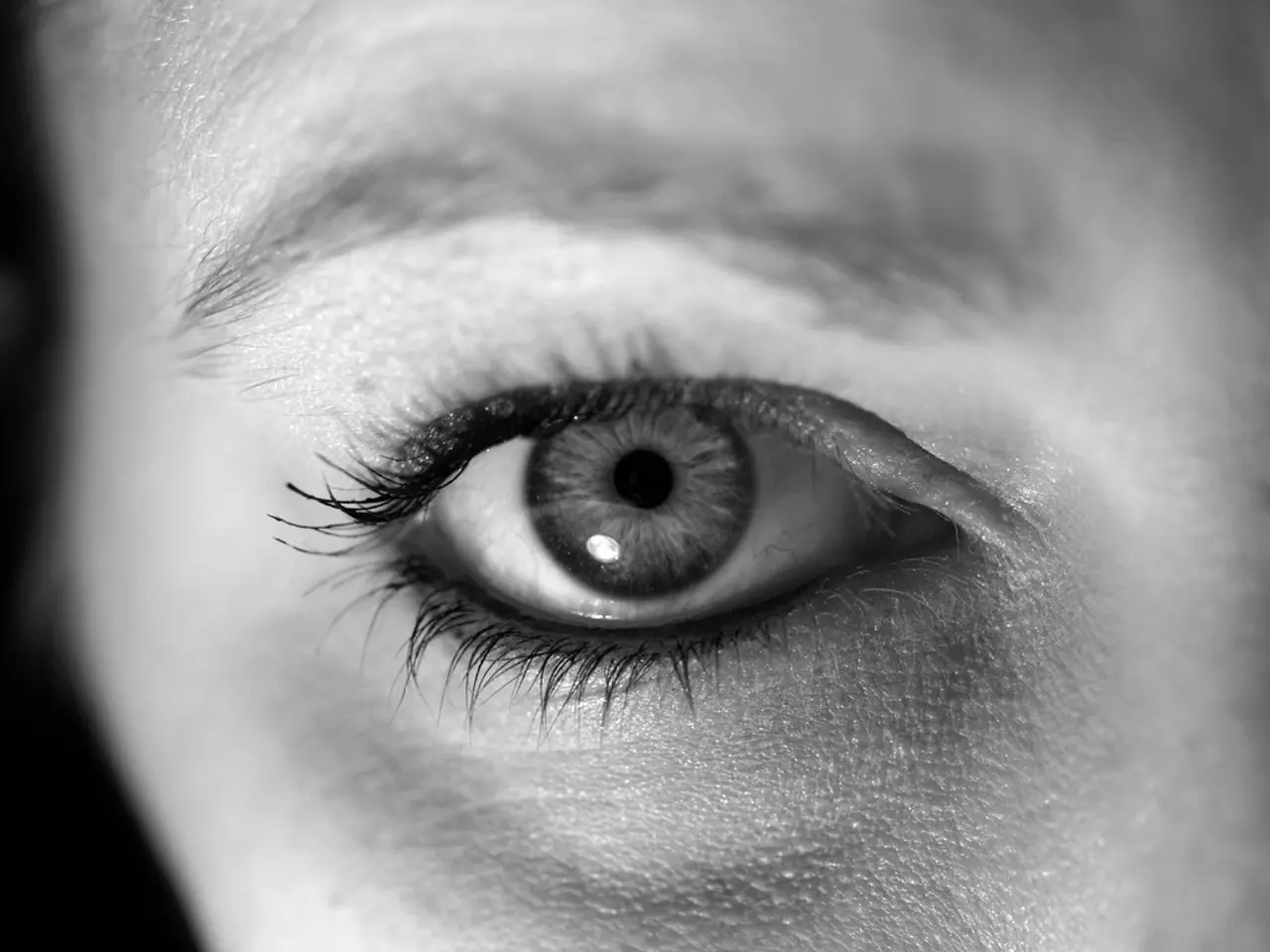 Ricerca Pionieristica: Tecnologia di Rilevamento Oculare Senza Calibrazione Esibita