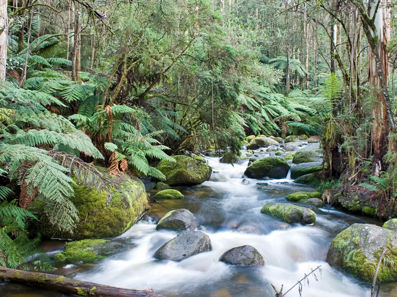 Film di Taylor Sheridan, valutato al 87% su Rotten Tomatoes, sta avendo un successo notevole su...