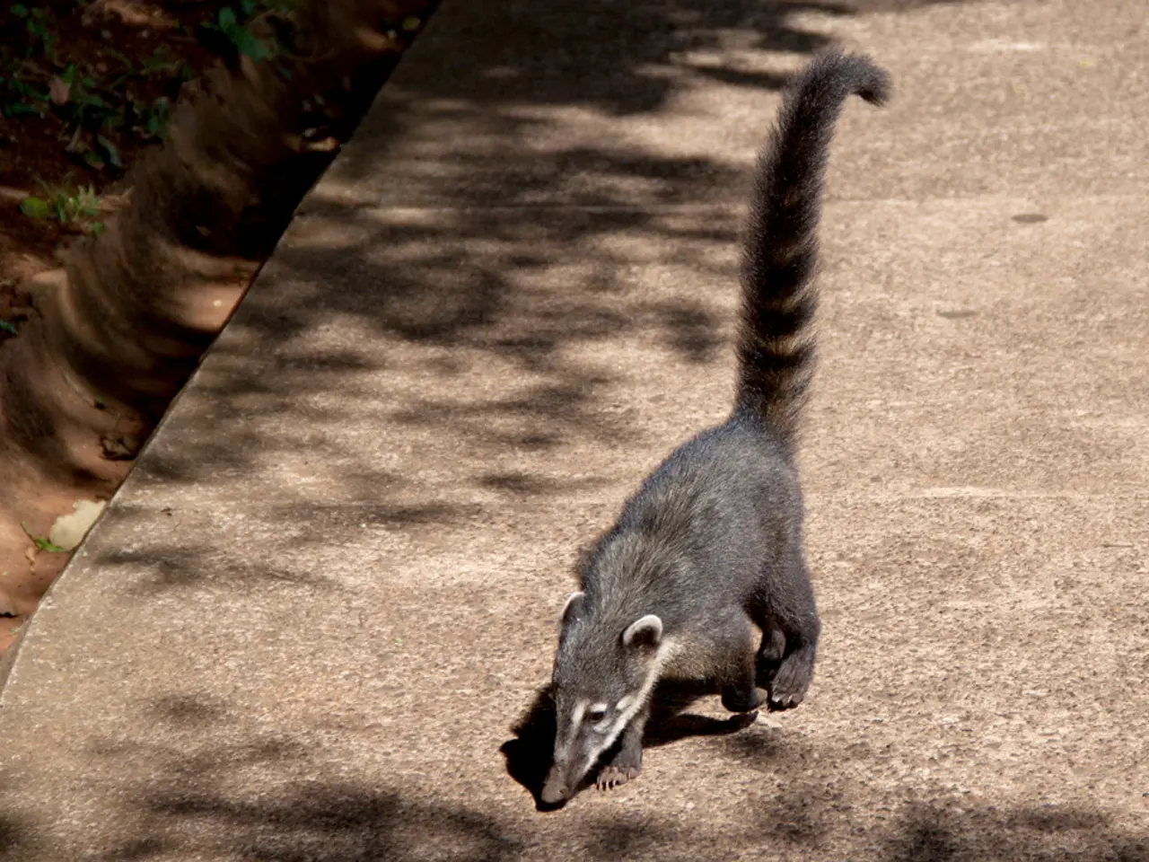 Sintomi della Gravidanza: Il Mal di Mare è Ordinario?