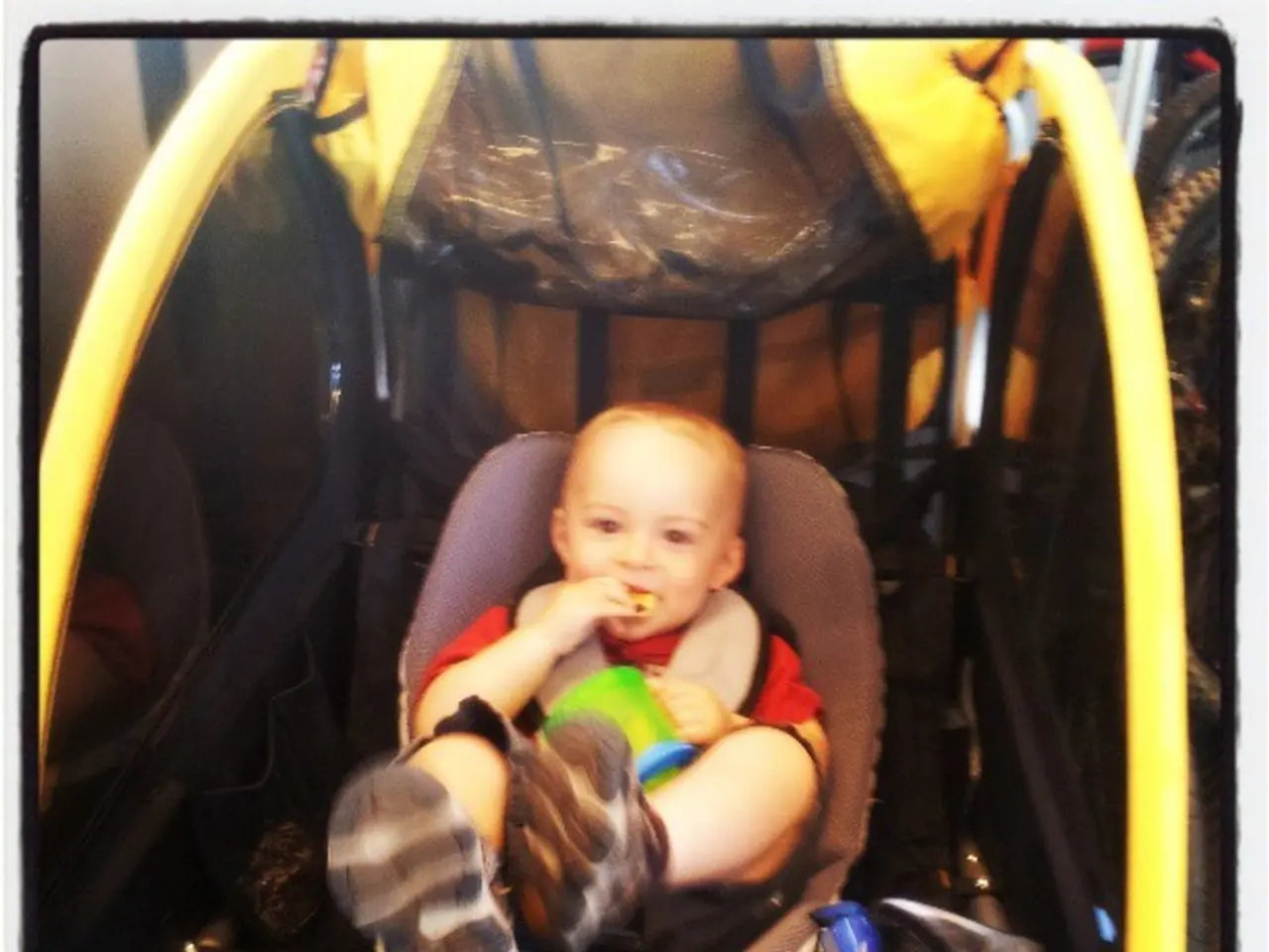 Scienziati rigenerano il sistema immunitario postnatali nel cervello dopo l'esposizione a un...